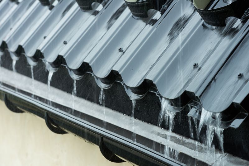 Gutter and Roof System Services